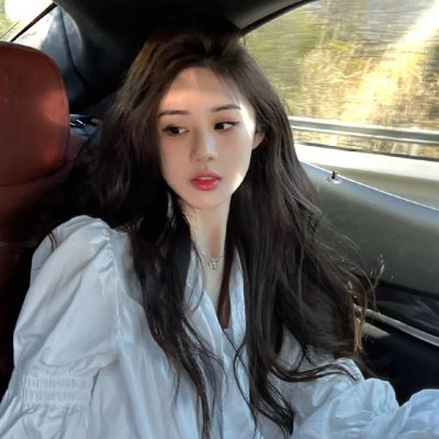 小狗波图海报